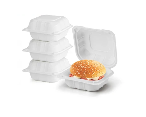 Burger Take Away Container